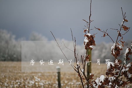 房贷逾期了6个月罚息3万合理么 房贷逾期了6个月罚息3万合理么