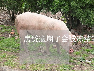 房贷逾期了会被冻结银行卡吗 房贷逾期了会被冻结银行卡吗