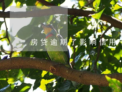 房贷逾期了影响信用卡 房贷逾期了影响信用卡