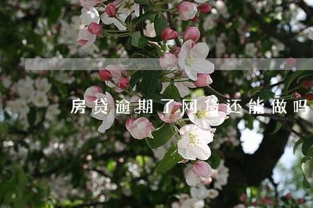 房贷逾期了网贷还能做吗 房贷逾期了网贷还能做吗