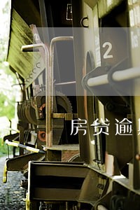 房贷逾期了银行不让分期还了