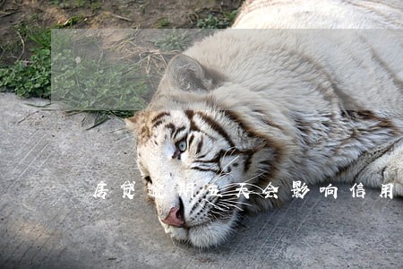 房贷逾期五天会影响信用吗 房贷逾期五天会影响信用吗