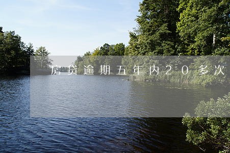 房贷逾期五年内20多次 房贷逾期五年内20多次