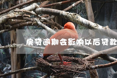 房贷逾期会影响以后贷款吗 房贷逾期会影响以后贷款吗