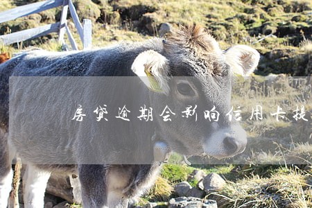 房贷逾期会影响信用卡提额 房贷逾期会影响信用卡提额