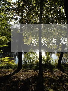 房贷逾期信用卡会封卡吗 房贷逾期信用卡会封卡吗
