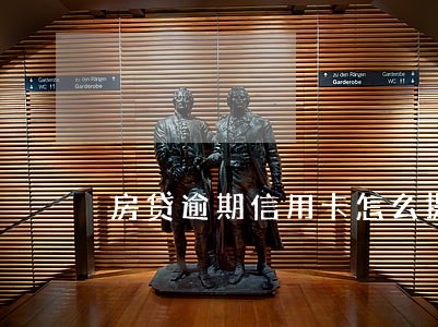 房贷逾期信用卡怎么提额 房贷逾期信用卡怎么提额