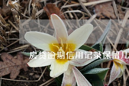房贷逾期信用记录保留几年 房贷逾期信用记录保留几年