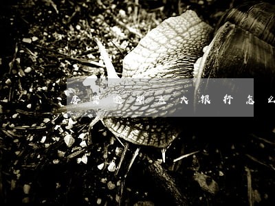 房贷逾期光大银行怎么查询 房贷逾期光大银行怎么查询