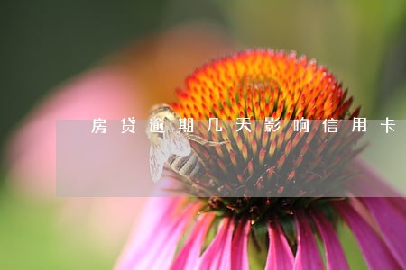 房贷逾期几天影响信用卡额度吗