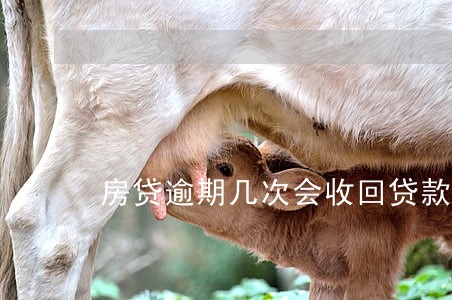 房贷逾期几次会收回贷款