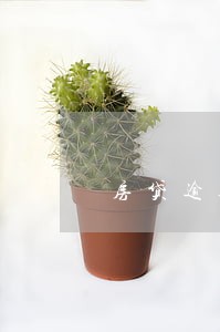 房贷逾期几次影响下次贷款 房贷逾期几次影响下次贷款