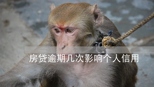 房贷逾期几次影响个人信用 房贷逾期几次影响个人信用