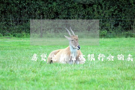房贷逾期几次银行会拍卖房子