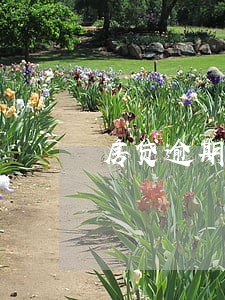 房贷逾期利率717什么意思 房贷逾期利率717什么意思
