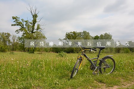 房贷逾期半年后信用多久可以好 房贷逾期半年后信用多久可以好