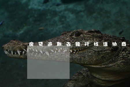 房贷逾期去银行找谁协商 房贷逾期去银行找谁协商