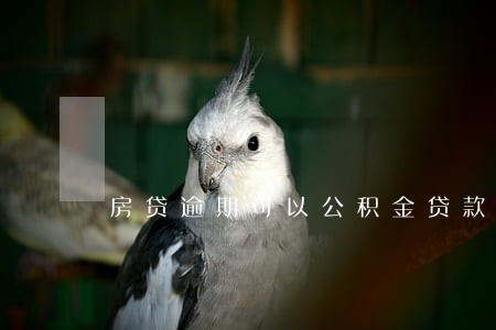 房贷逾期可以公积金贷款 房贷逾期可以公积金贷款