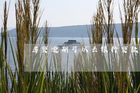 房贷逾期可以去银行贷款吗 房贷逾期可以去银行贷款吗