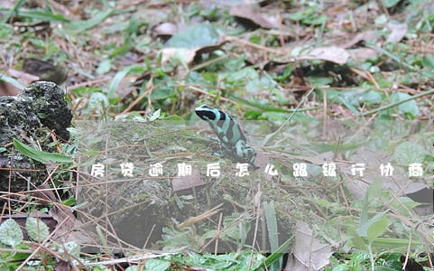 房贷逾期后怎么跟银行协商 房贷逾期后怎么跟银行协商