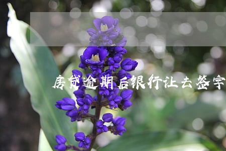 房贷逾期后银行让去签字 房贷逾期后银行让去签字