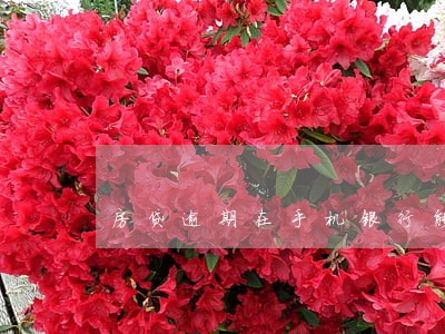 房贷逾期在手机银行能看到吗 房贷逾期在手机银行能看到吗