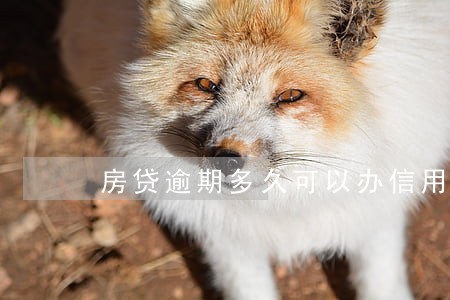 房贷逾期多久可以办信用卡