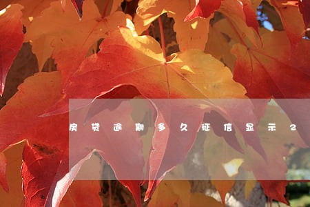 房贷逾期多久征信显示2 房贷逾期多久征信显示2