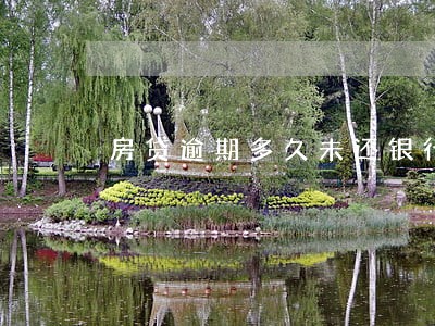 房贷逾期多久未还银行拍卖