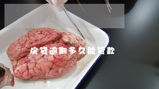 房贷逾期多久能贷款 房贷逾期多久能贷款