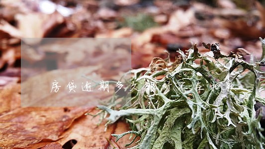 房贷逾期多久银行不在扣款 房贷逾期多久银行不在扣款