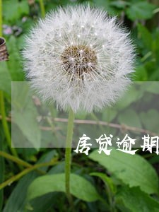 房贷逾期多久银行可以转让债权 房贷逾期多久银行可以转让债权