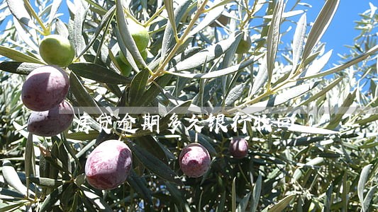 房贷逾期多久银行收回 房贷逾期多久银行收回