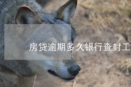 房贷逾期多久银行查封工行
