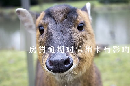 房贷逾期对信用卡有影响吗 房贷逾期对信用卡有影响吗