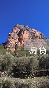 房贷逾期开发商帮还清6 房贷逾期开发商帮还清6