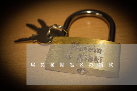 房贷逾期怎么办贷款 房贷逾期怎么办贷款