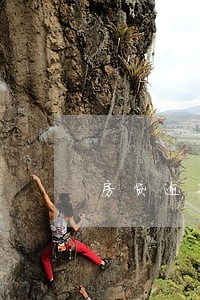 房贷逾期怎么才能申请只还本金 房贷逾期怎么才能申请只还本金