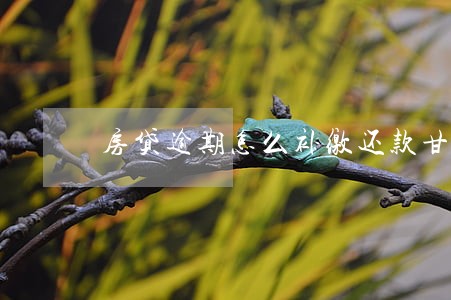 房贷逾期怎么补缴还款甘肃银行 房贷逾期怎么补缴还款甘肃银行