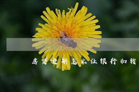 房贷逾期怎么让银行扣钱 房贷逾期怎么让银行扣钱