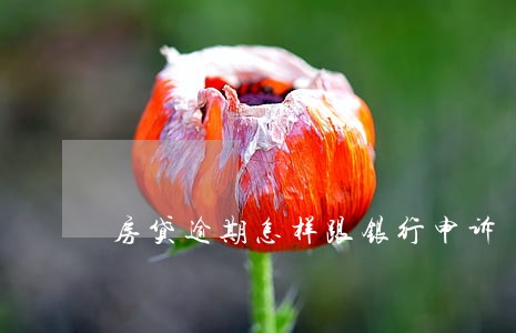 房贷逾期怎样跟银行申诉