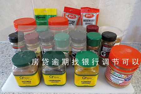 房贷逾期找银行调节可以吗 房贷逾期找银行调节可以吗