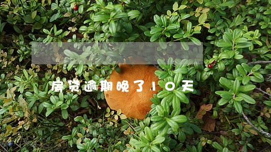 房贷逾期晚了10天 房贷逾期晚了10天