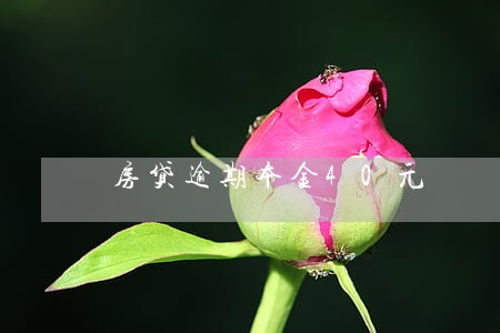 房贷逾期本金40元 房贷逾期本金40元