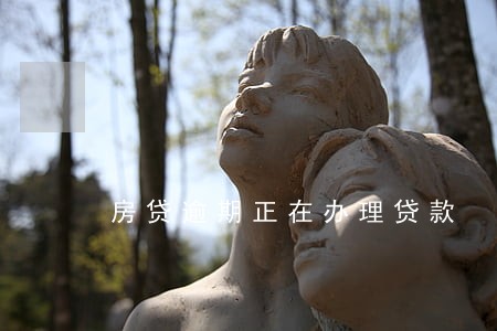 房贷逾期正在办理贷款
