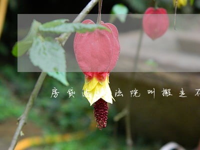 房贷逾期法院叫搬走不搬