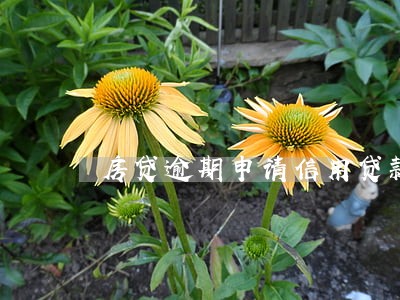 房贷逾期申请信用贷款 房贷逾期申请信用贷款