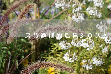 房贷逾期的后果30天左右 房贷逾期的后果30天左右