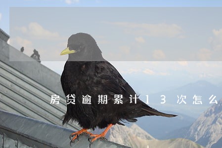 房贷逾期累计13次怎么办 房贷逾期累计13次怎么办