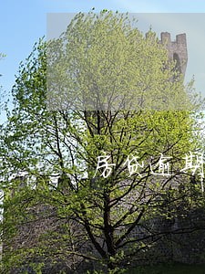 房贷逾期累计6次了银行怎么处理 房贷逾期累计6次了银行怎么处理